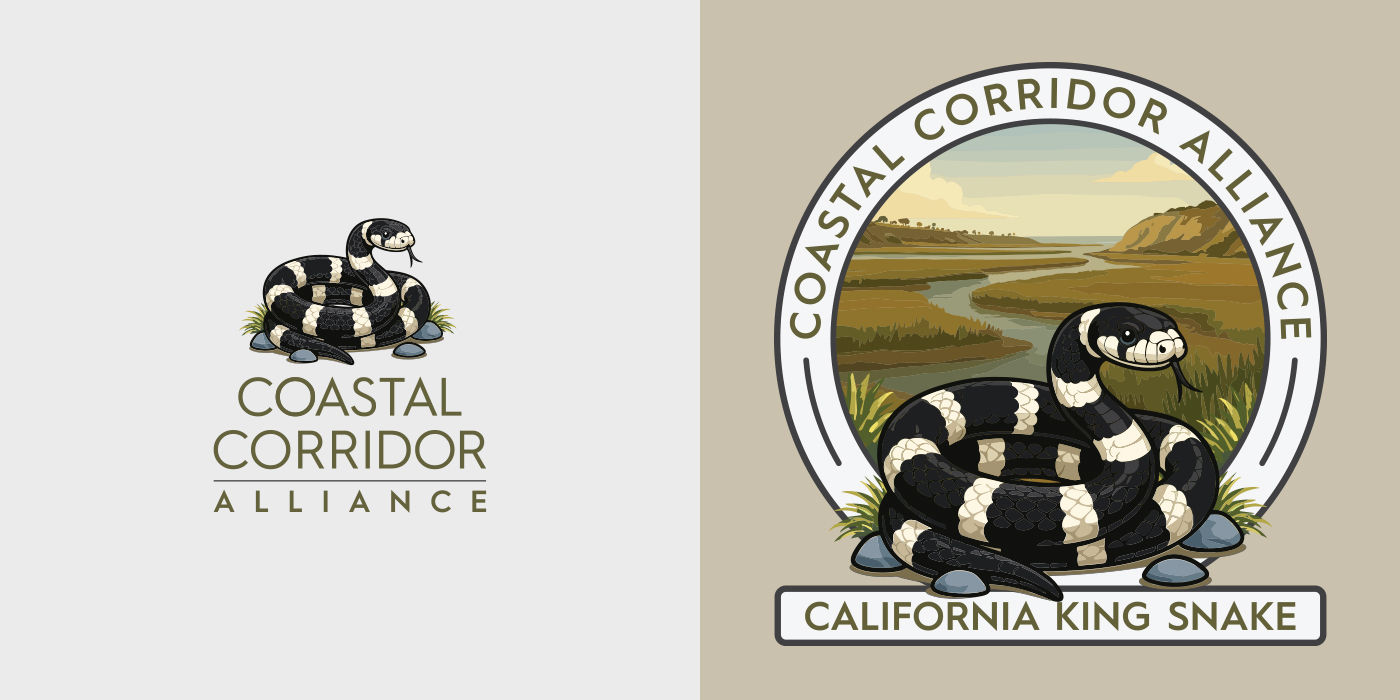Coastal Corridor Alliance California king snake artwork